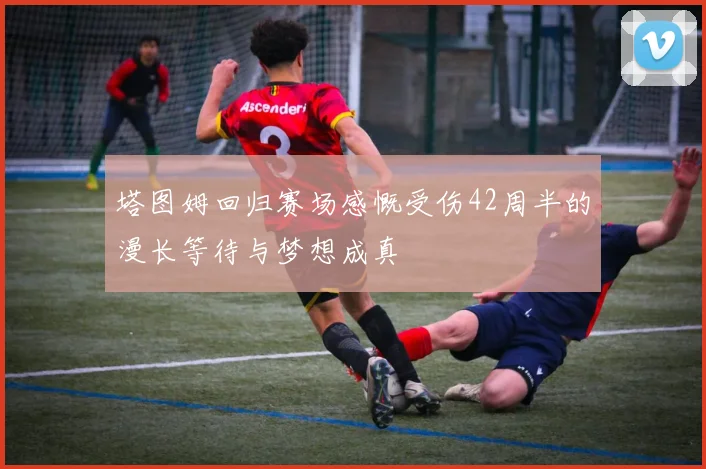 塔图姆回归赛场感慨受伤42周半的漫长等待与梦想成真