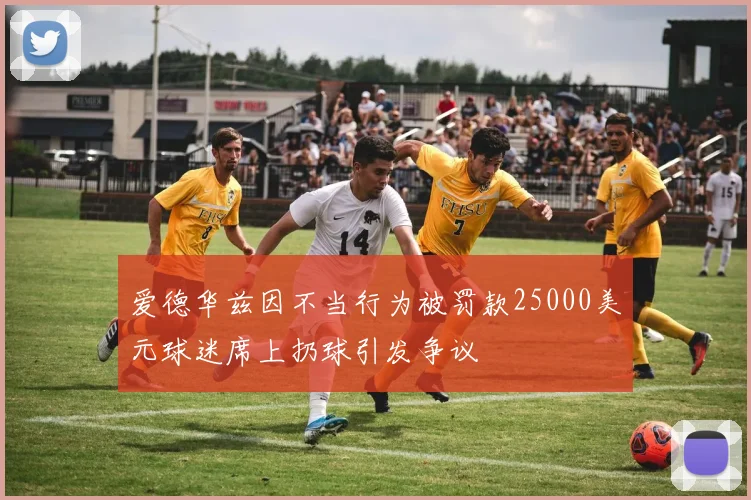 爱德华兹因不当行为被罚款25000美元球迷席上扔球引发争议