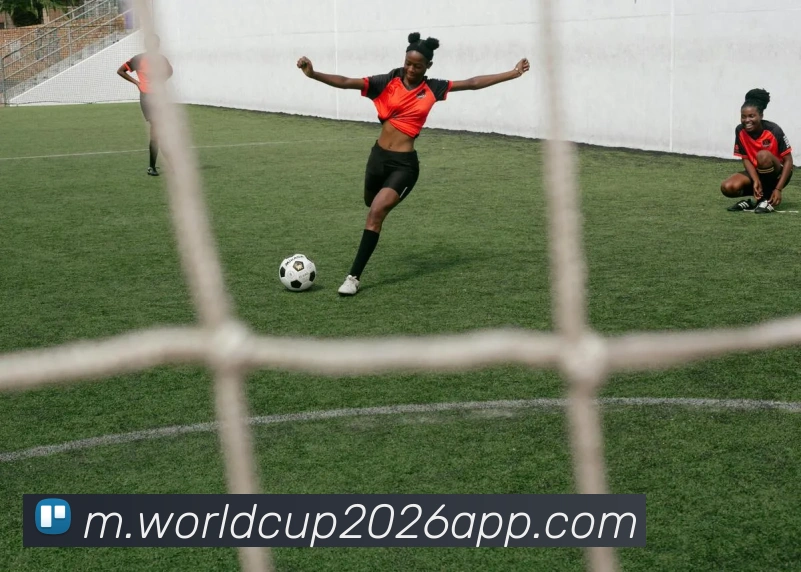 世界杯买球发展历程