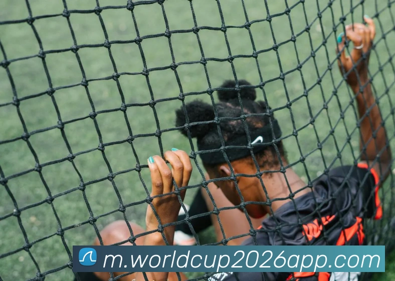 泰山主场赛事年票即将开售票价1350元至3600元抢购从速